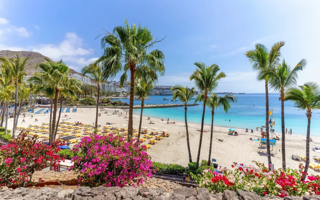 Gran Canaria Spain Canary islands las palmas