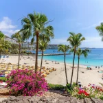 Gran Canaria Spain Canary islands las palmas